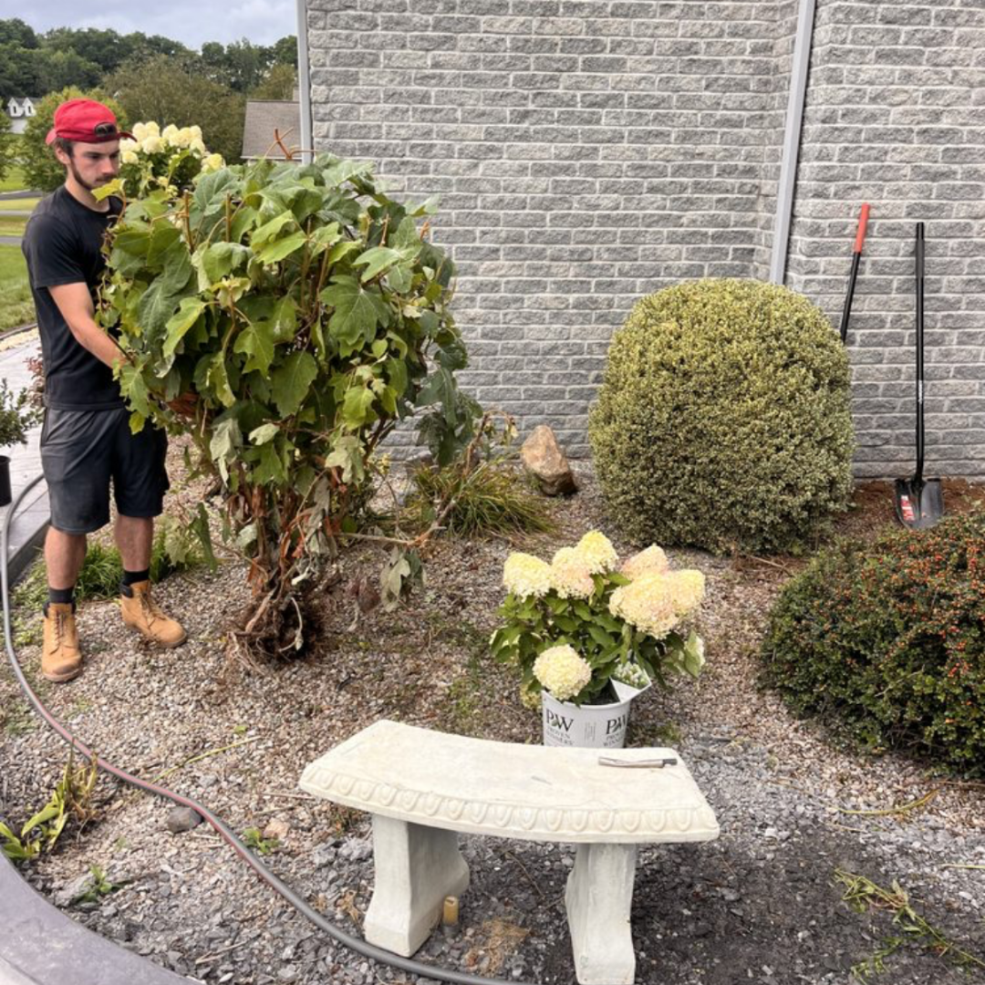 Landscaping