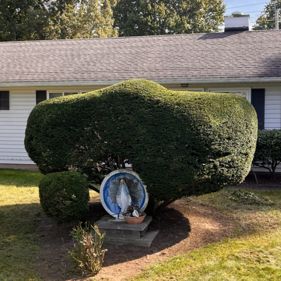 Landscaping