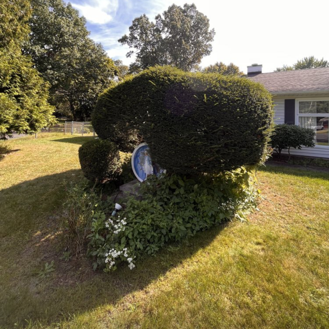 Landscaping