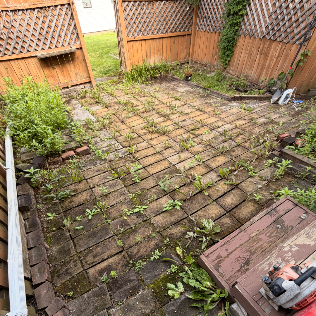 Hardscape & Patios