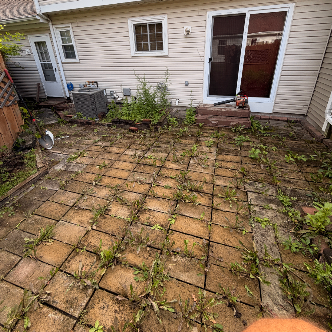 Hardscape & Patios
